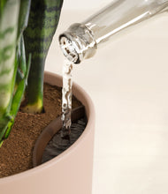 Load image into Gallery viewer, Sandy Pink stand:all