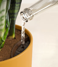 Load image into Gallery viewer, Sunset Orange stand:all