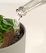 Load image into Gallery viewer, Sage Green stand:all