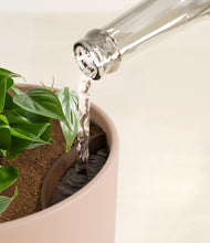 Load image into Gallery viewer, Sandy Pink stand:all