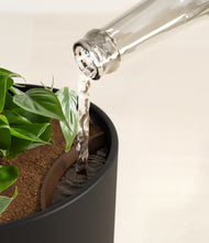 Load image into Gallery viewer, Stone Black stand:all