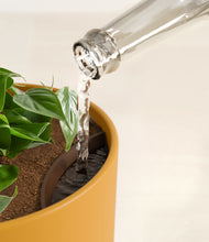 Load image into Gallery viewer, Sunset Orange stand:all