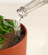 Load image into Gallery viewer, Earth Red stand:all