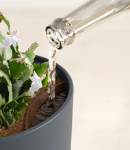 Load image into Gallery viewer, Iron Gray stand:all