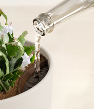 Load image into Gallery viewer, Natural Bamboo stand:all