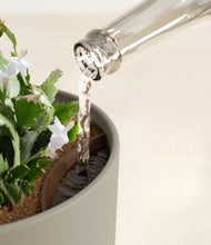 Load image into Gallery viewer, Sage Green stand:all