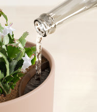 Load image into Gallery viewer, Sandy Pink stand:all