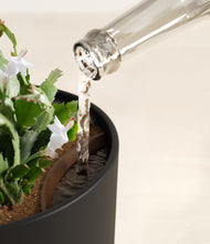 Load image into Gallery viewer, Stone Black stand:all