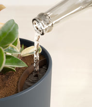 Load image into Gallery viewer, Iron Gray stand:all