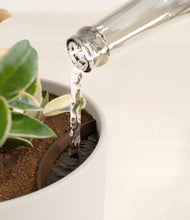 Load image into Gallery viewer, Natural Bamboo stand:all