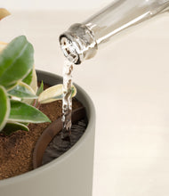 Load image into Gallery viewer, Sage Green stand:all