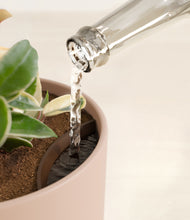 Load image into Gallery viewer, Sandy Pink stand:all