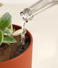 Load image into Gallery viewer, Earth Red stand:all