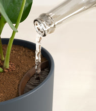 Load image into Gallery viewer, Iron Gray stand:all