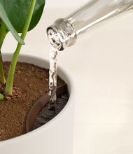 Load image into Gallery viewer, Natural Bamboo stand:all