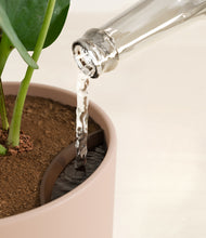 Load image into Gallery viewer, Sandy Pink stand:all