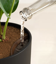 Load image into Gallery viewer, Stone Black stand:all