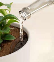 Load image into Gallery viewer, Natural Bamboo stand:all