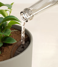 Load image into Gallery viewer, Sage Green stand:all