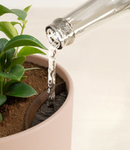 Load image into Gallery viewer, Sandy Pink stand:all