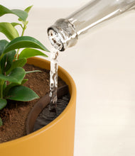 Load image into Gallery viewer, Sunset Orange stand:all