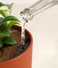 Load image into Gallery viewer, Earth Red stand:all