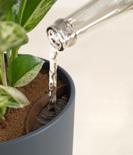 Load image into Gallery viewer, Iron Gray stand:all