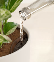 Load image into Gallery viewer, Natural Bamboo stand:all