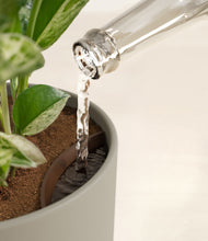 Load image into Gallery viewer, Sage Green stand:all