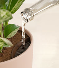 Load image into Gallery viewer, Sandy Pink stand:all