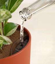 Load image into Gallery viewer, Earth Red stand:all