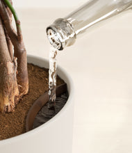 Load image into Gallery viewer, Natural Bamboo stand:all