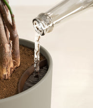 Load image into Gallery viewer, Sage Green stand:all