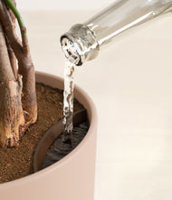 Load image into Gallery viewer, Sandy Pink stand:all