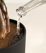 Load image into Gallery viewer, Stone Black stand:all