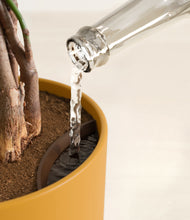 Load image into Gallery viewer, Sunset Orange stand:all