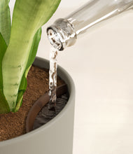 Load image into Gallery viewer, Sage Green stand:all