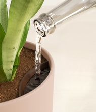 Load image into Gallery viewer, Sandy Pink stand:all