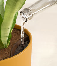 Load image into Gallery viewer, Sunset Orange stand:all