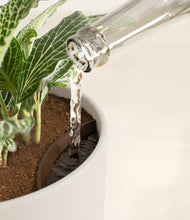 Load image into Gallery viewer, Natural Bamboo stand:all