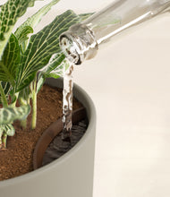 Load image into Gallery viewer, Sage Green stand:all