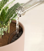 Load image into Gallery viewer, Sandy Pink stand:all