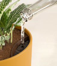 Load image into Gallery viewer, Sunset Orange stand:all