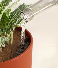 Load image into Gallery viewer, Earth Red stand:all