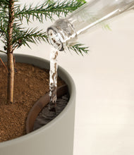 Load image into Gallery viewer, Sage Green stand:all