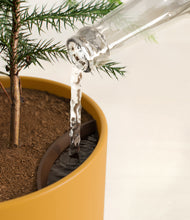 Load image into Gallery viewer, Sunset Orange stand:all