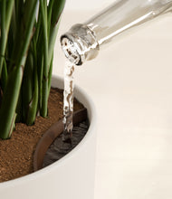 Load image into Gallery viewer, Natural Bamboo stand:all