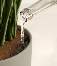 Load image into Gallery viewer, Sage Green stand:all