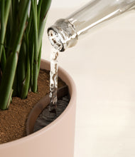 Load image into Gallery viewer, Sandy Pink stand:all