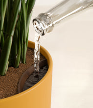 Load image into Gallery viewer, Sunset Orange stand:all